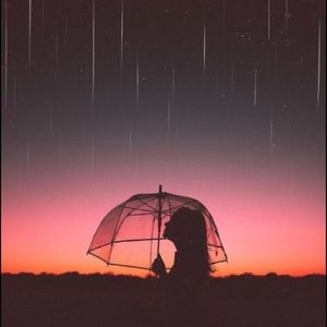 Meet your Posher, Edith